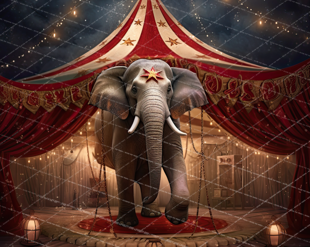 VINTAGE CIRCUS ELEPHANT - PKP