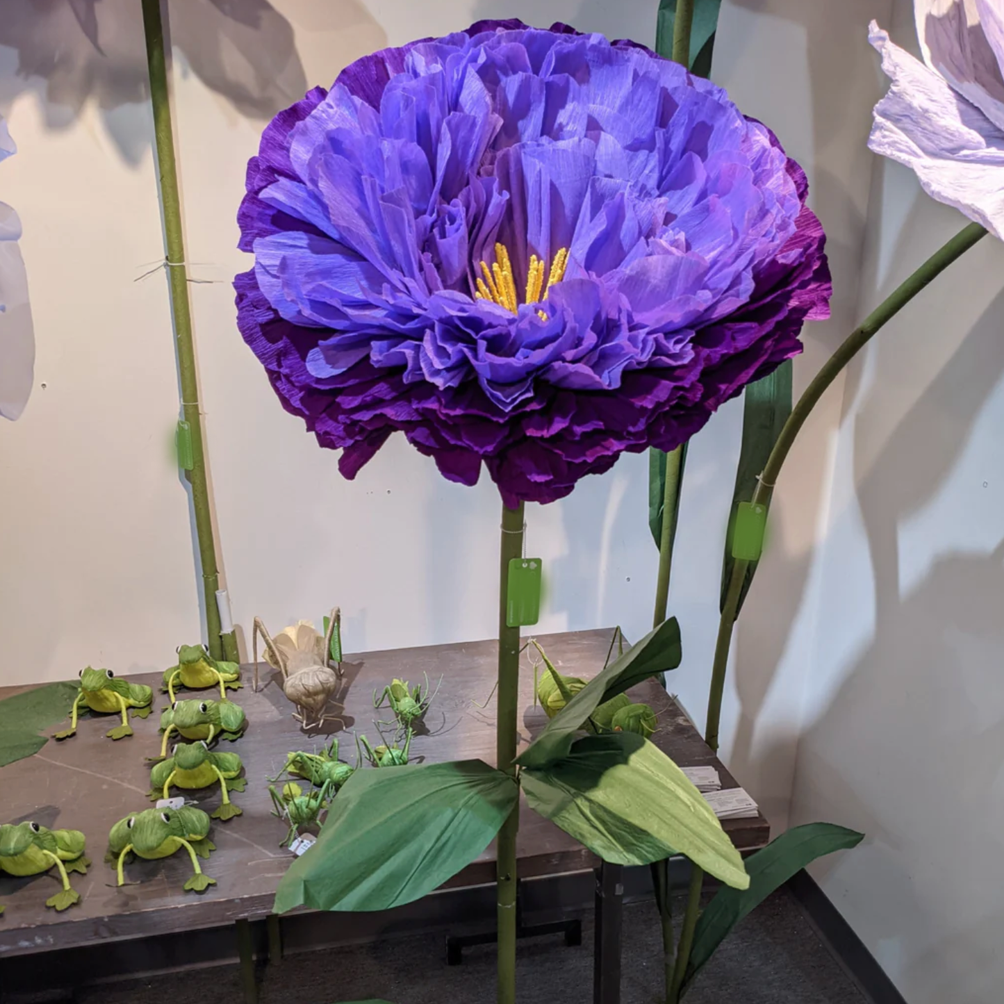 GIANT PEONY