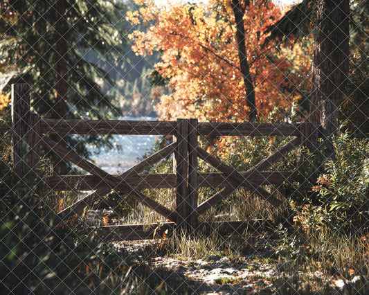 Gated Peace - MT