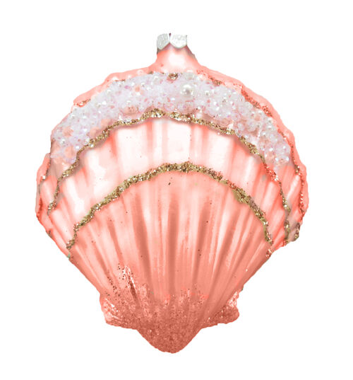 Coral Scallop Shell