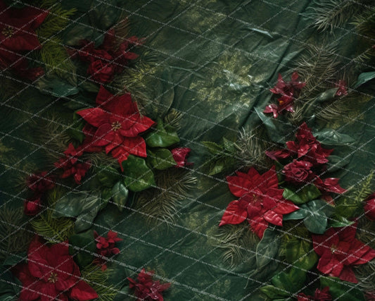 Poinsettia Blooms - MT