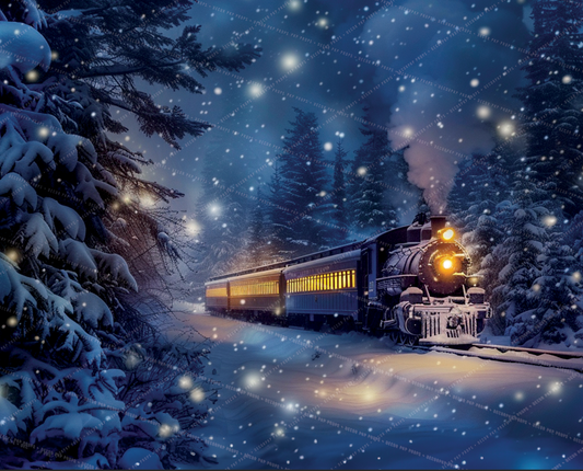 The North Pole Express - VH