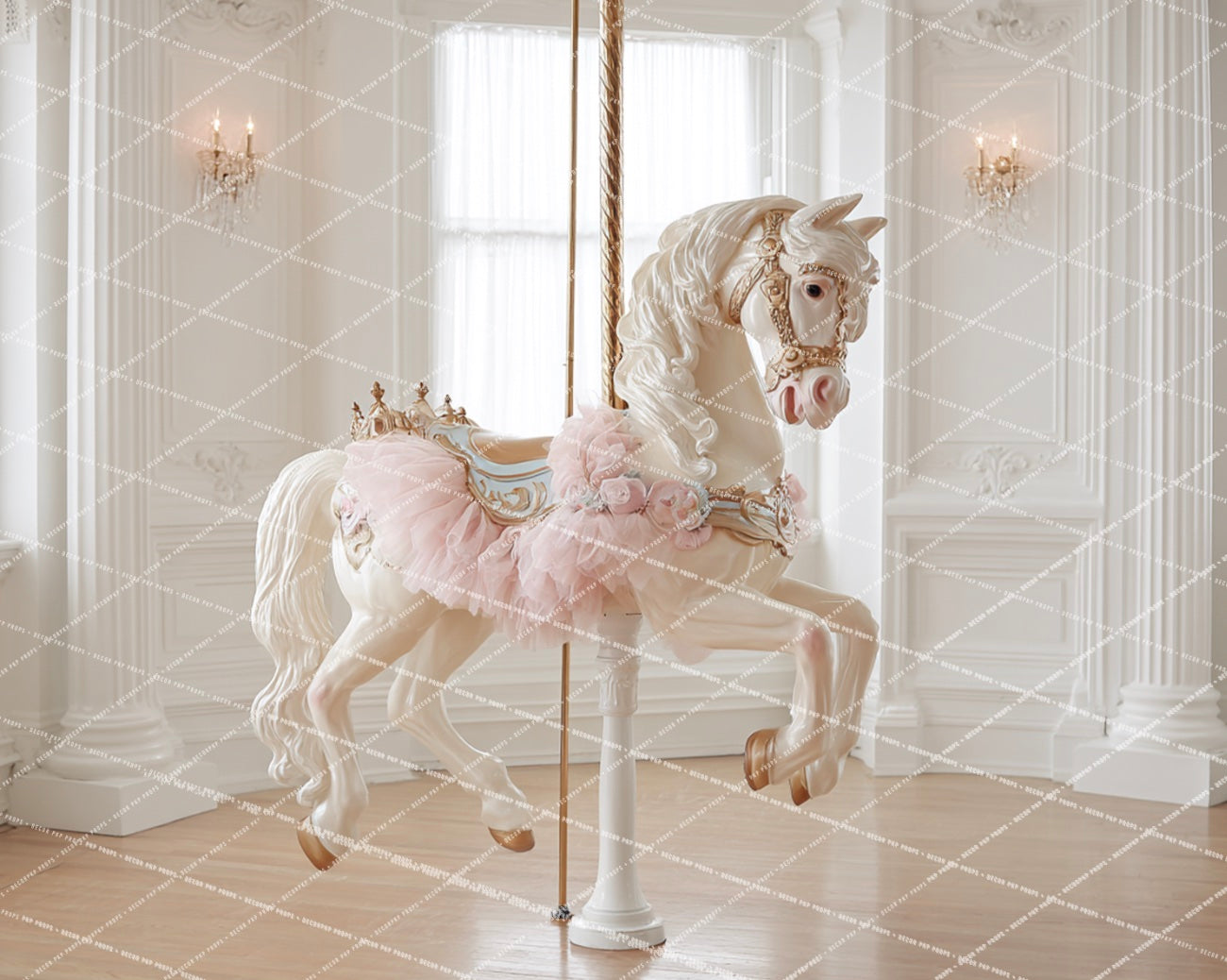 Carousel Ballet  - PKP