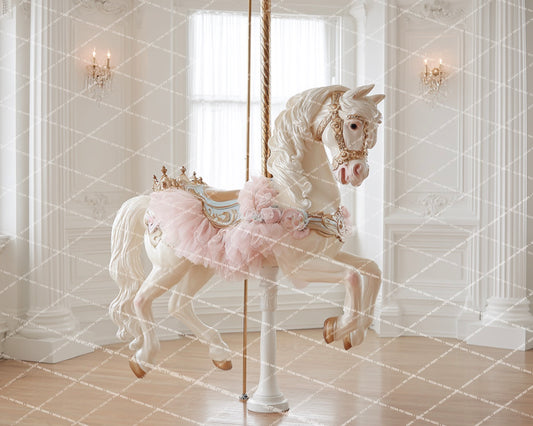 Carousel Ballet  - PKP