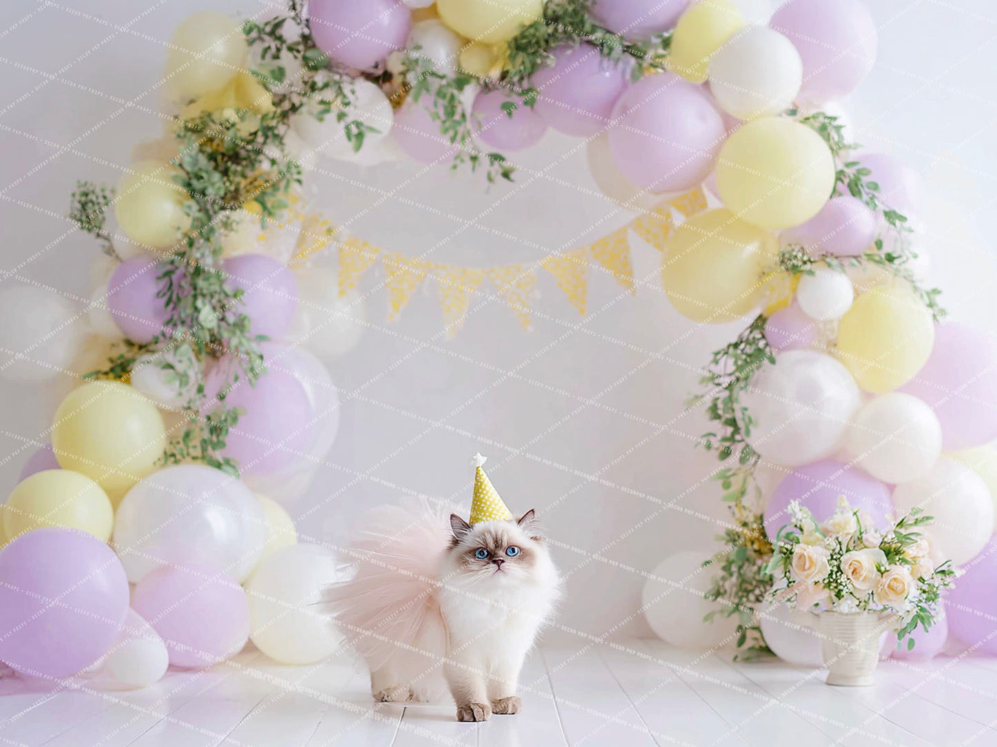 Cat Party - PKP