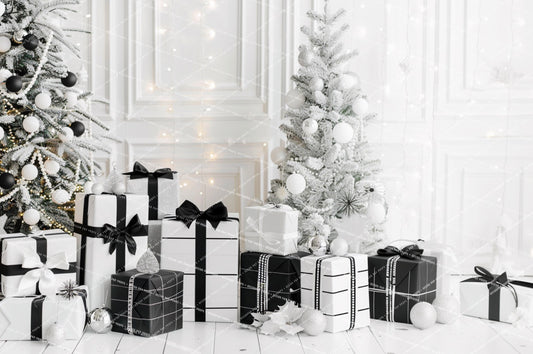 Black & White - PKP