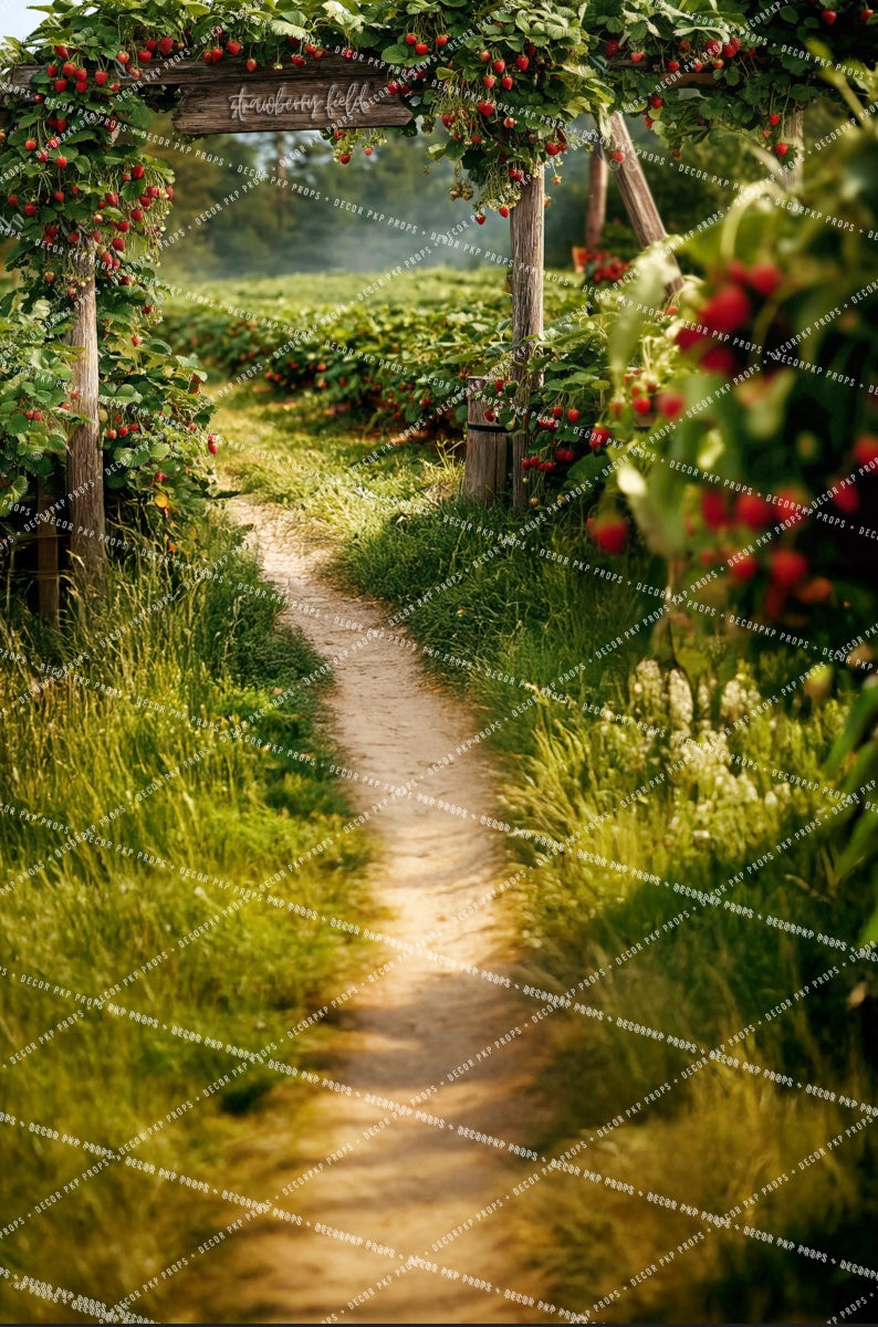 Strawberry Field Sweep - PKP