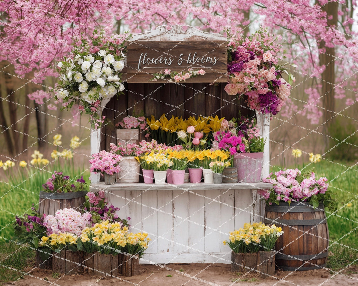 Flowers & Blooms