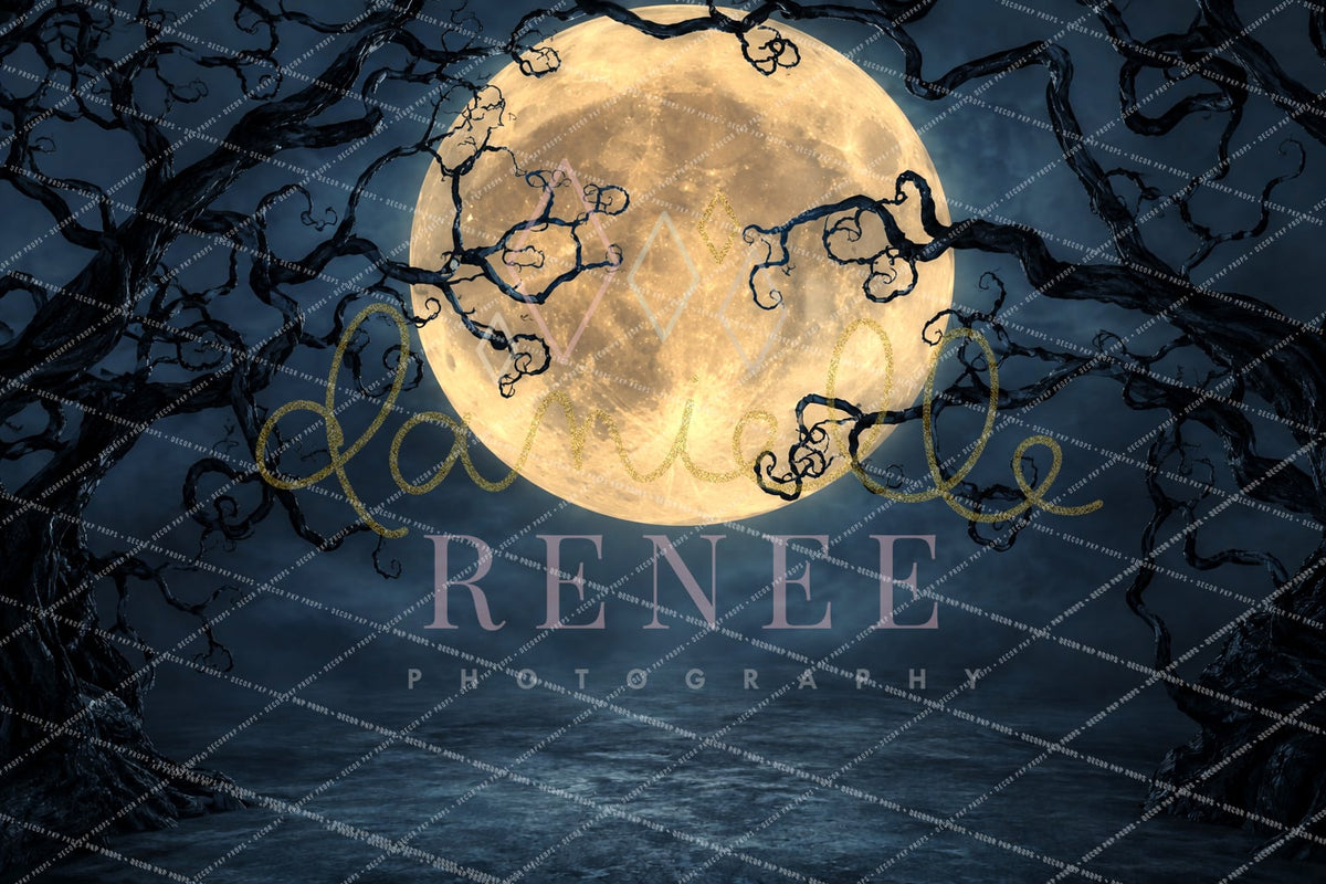 The Moon - DR