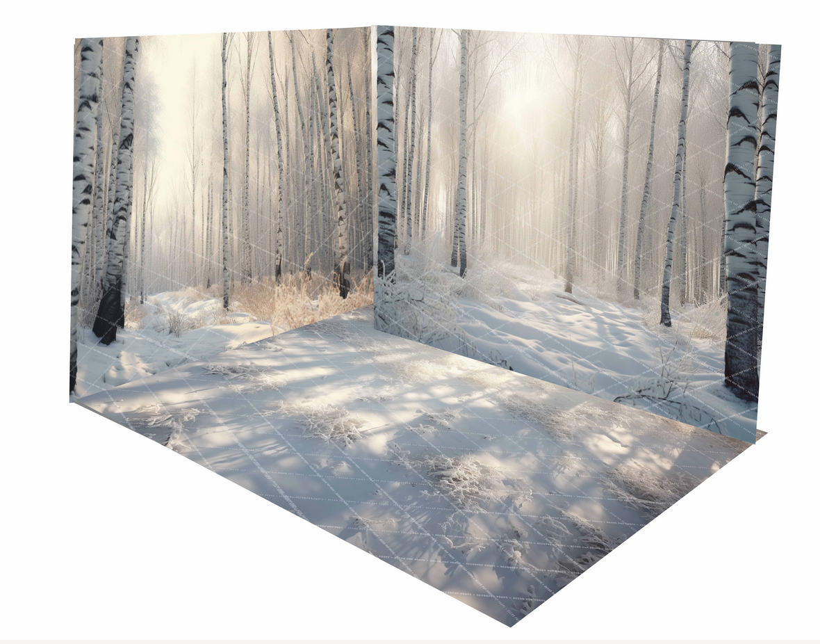 Birch Winter Forest Floor  - MT