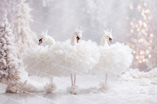 Swan Lake - PKP
