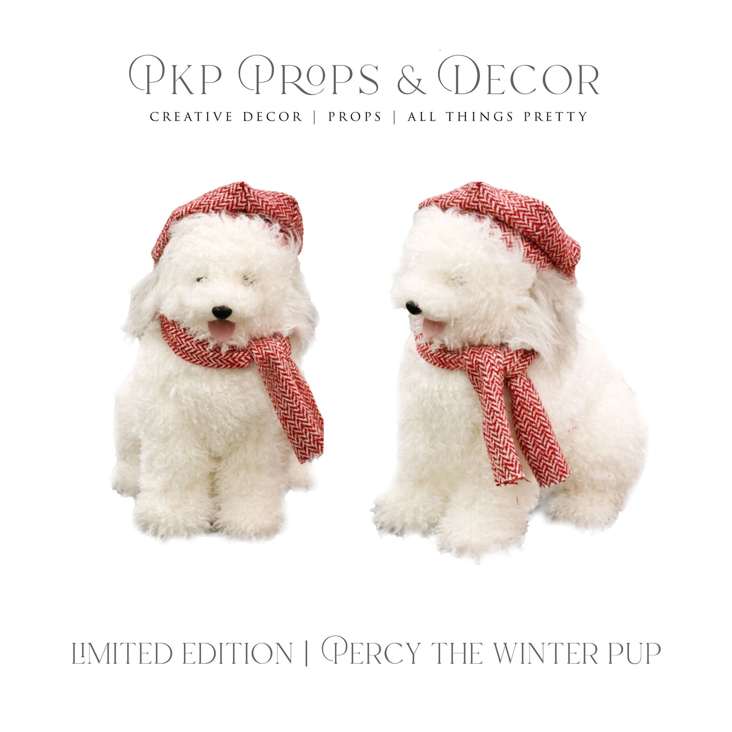 PERCY WINTER PUP - {ONLY 3 LEFT}