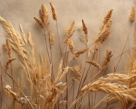 Wheat Wall-AS