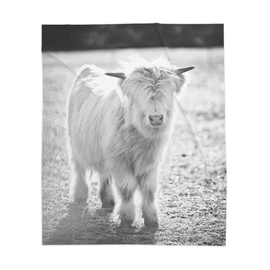 Mini Highland Bull - Sherpa Blanket