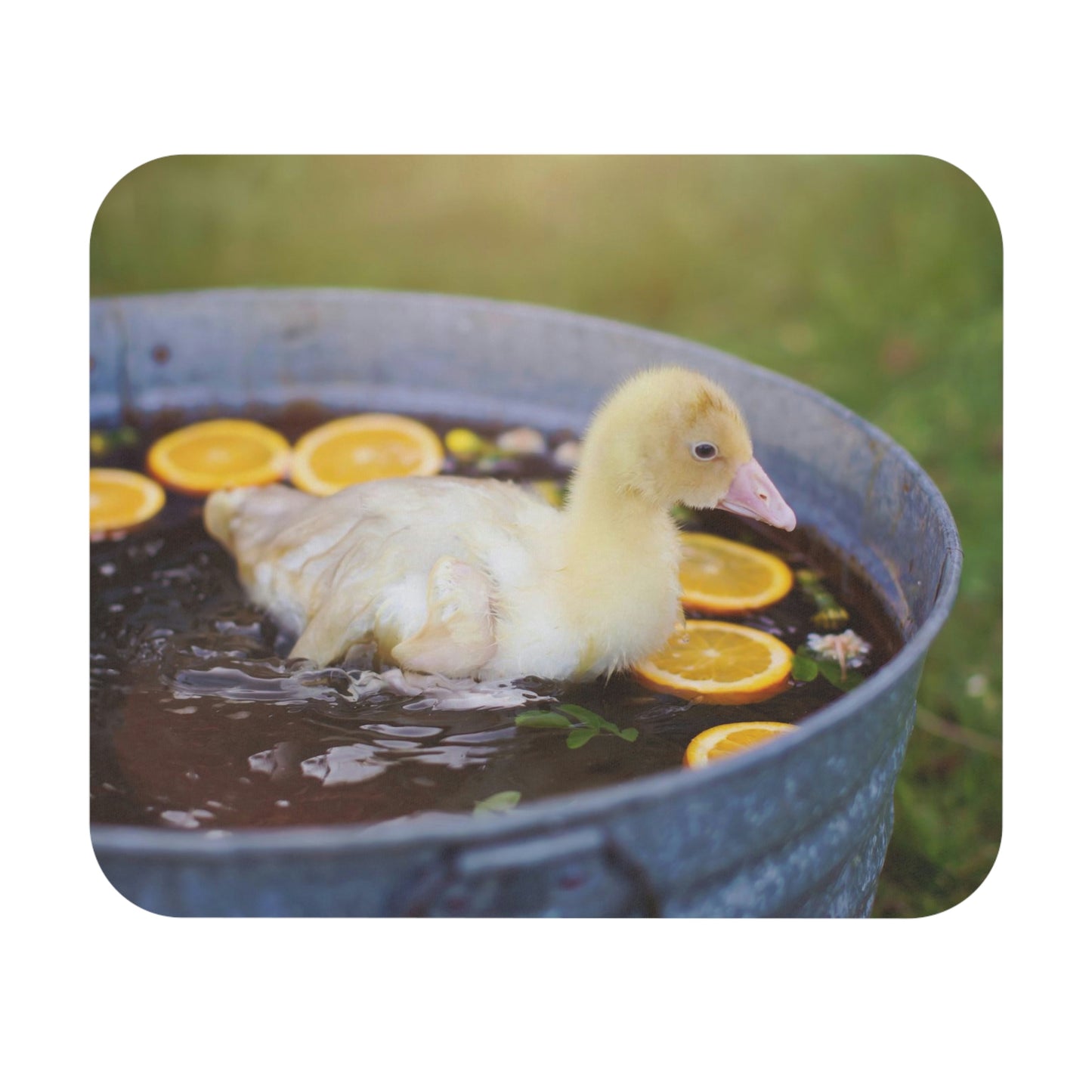 Baby Goose - Mouse Pad (Rectangle)