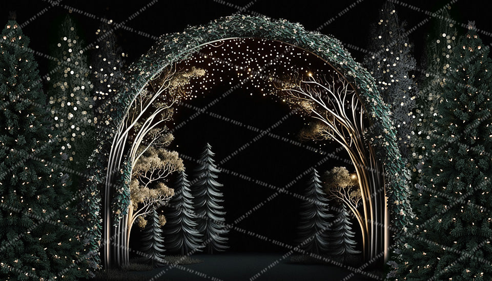 Elegant Winter Night Light - AS