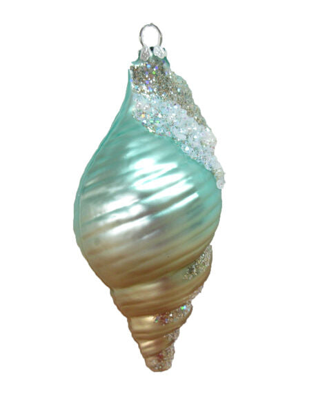 Glass Coral Shell