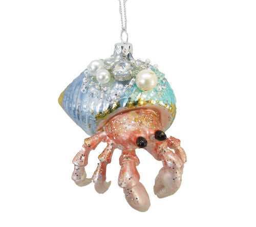 Jeweled Hermit Crab