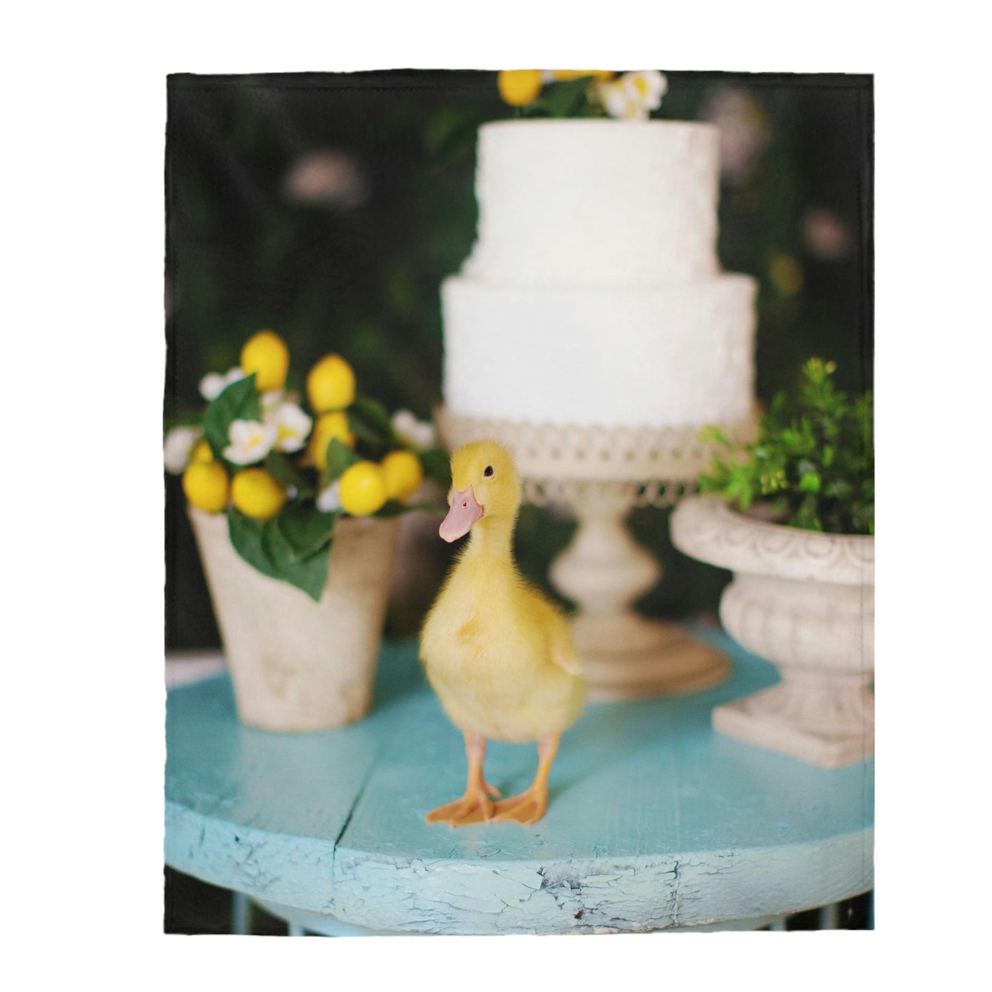 Velveteen Plush Blanket - Stink the Duck