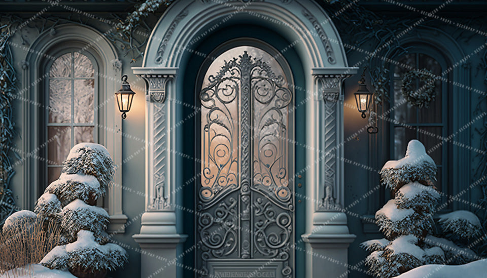 Enchanted Winter Door - AS