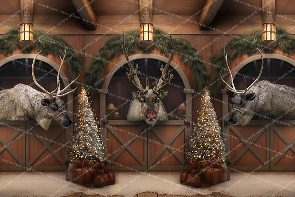 Reindeer Barn - AS