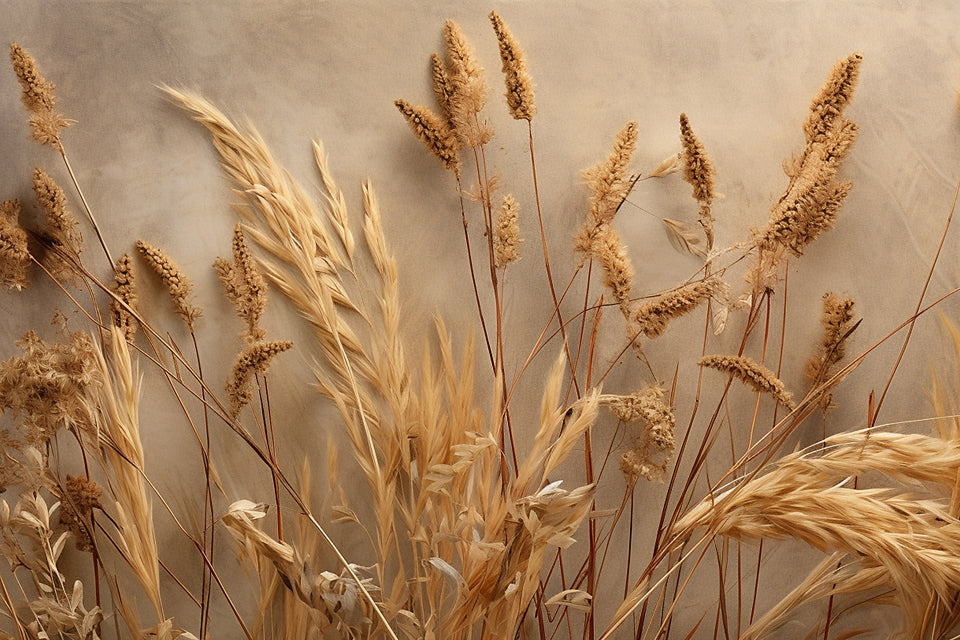 Wheat Wall-AS